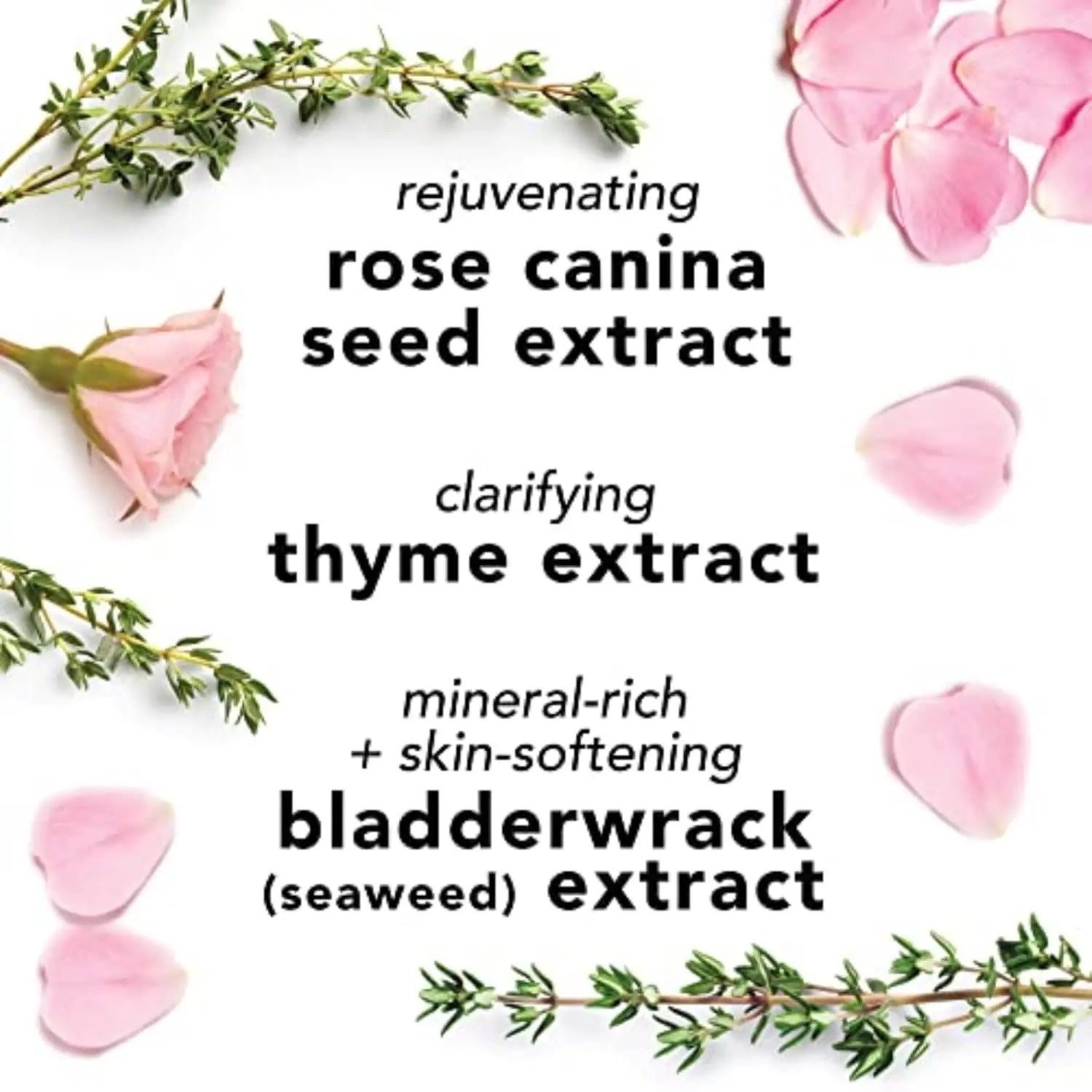 Hydrating Face Mist — Aloe, Herbs & Rose Water